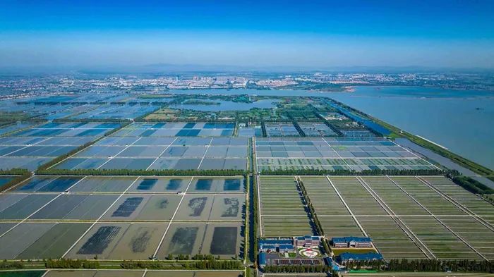 航拍高淳固城湖螃蟹核心區(qū)。高淳區(qū)融媒體中心供圖